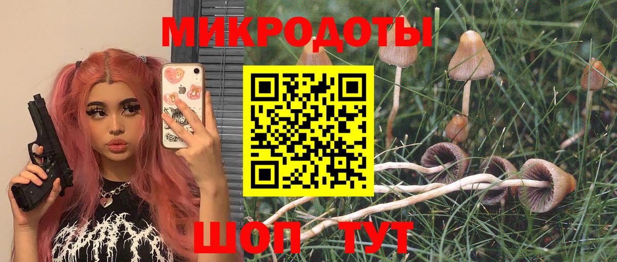 Белореченск  Псилоцибиновые грибы прущие грибы  Вход с VPN 