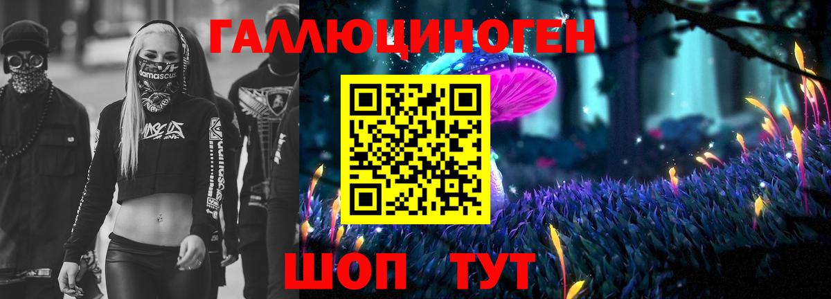 Галлюциногенные грибы Psilocybine cubensis Белореченск